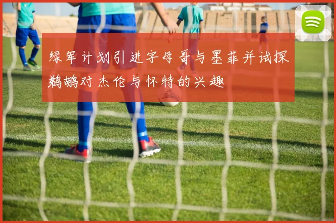 绿军计划引进字母哥与墨菲并试探鹈鹕对杰伦与怀特的兴趣