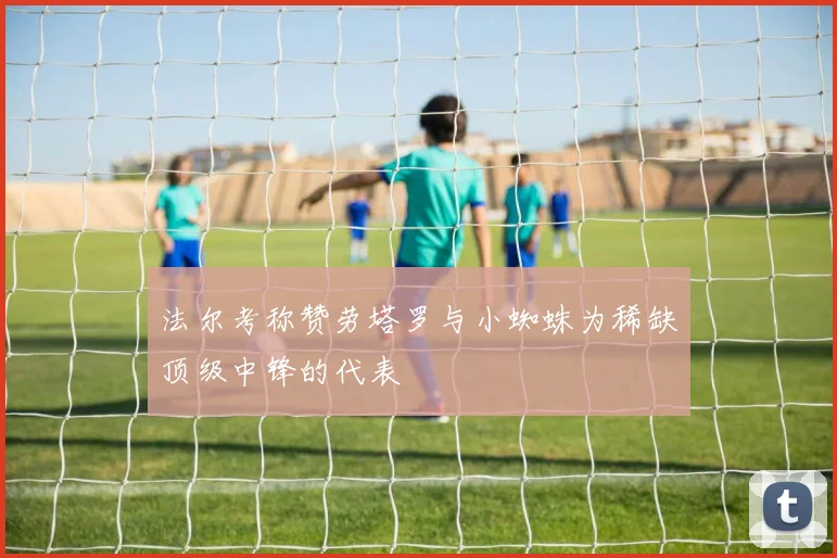 法尔考称赞劳塔罗与小蜘蛛为稀缺顶级中锋的代表