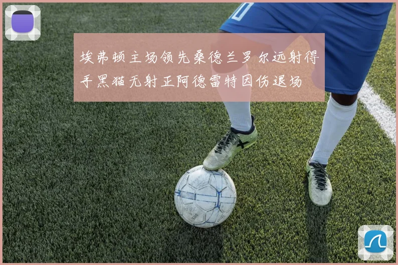 埃弗顿主场领先桑德兰罗尔远射得手黑猫无射正阿德雷特因伤退场